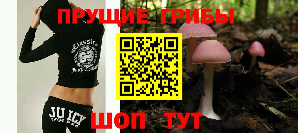 Псилоцибиновые грибы прущие грибы Гудермес