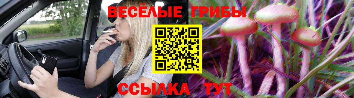 Галлюциногенные грибы Psilocybine cubensis  Вход с VPN  Гудермес 
