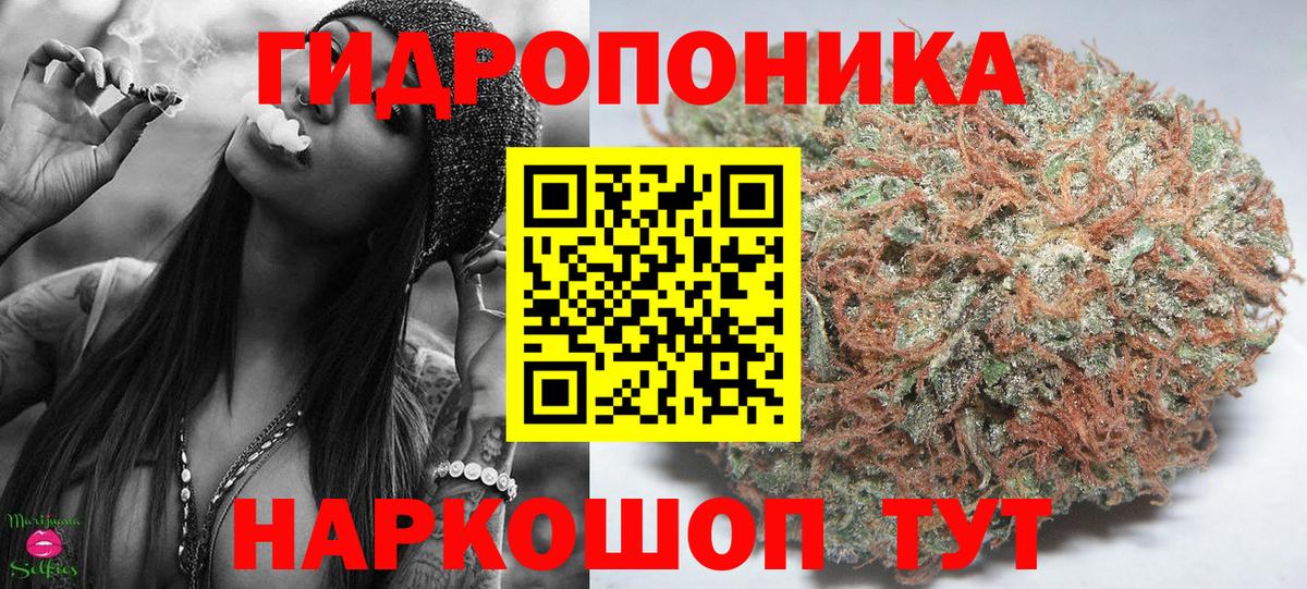 Бошки марихуана конопля Гудермес